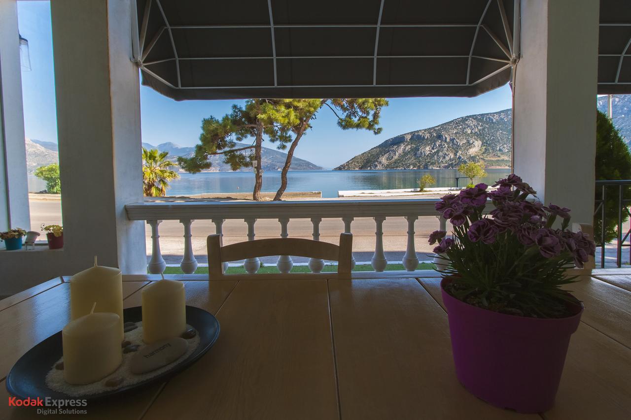 Antikyra Beach Hotel Exteriér fotografie