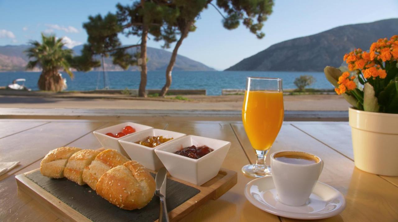 Antikyra Beach Hotel Exteriér fotografie