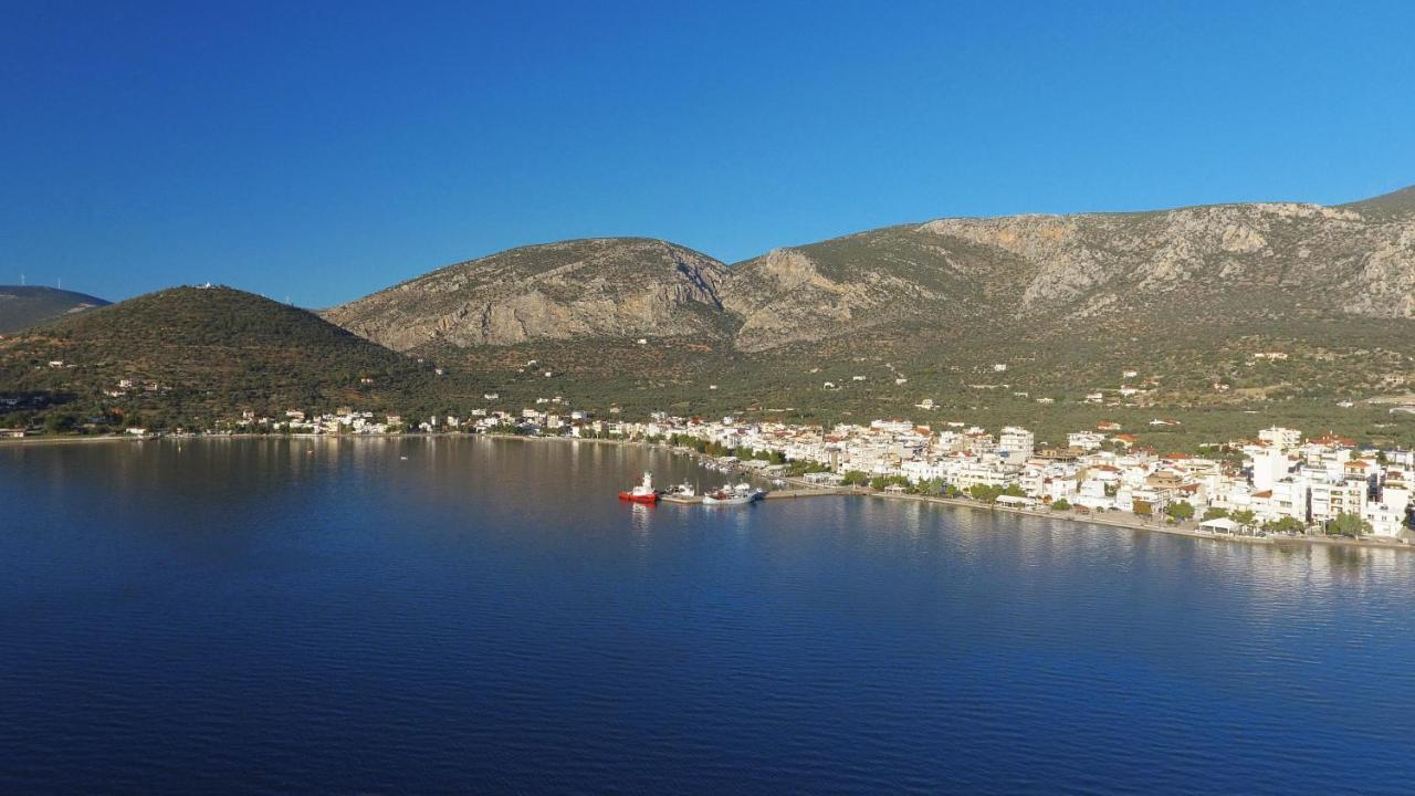 Antikyra Beach Hotel Exteriér fotografie